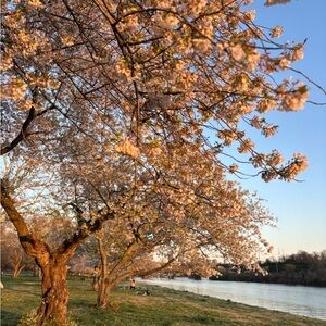 Meet your Posher, Victoria